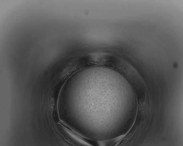X0000098000752200804011832