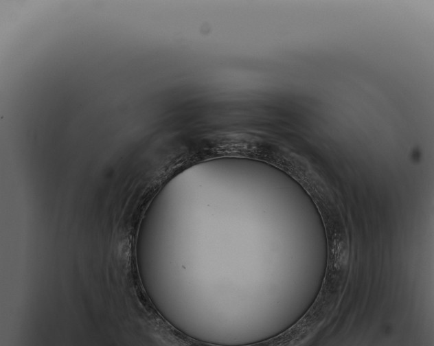 X0000098000753200804011832