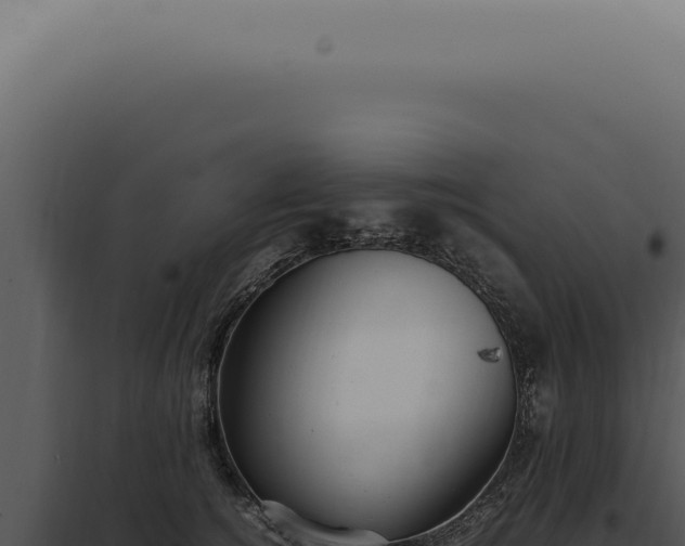 X0000098000756200804011833