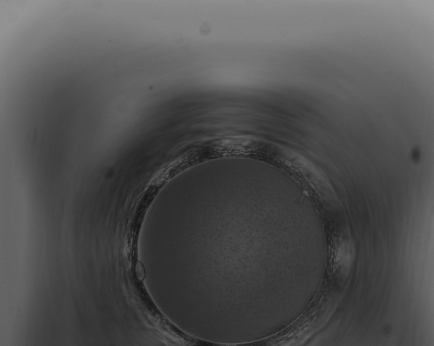 X0000098000759200804011833