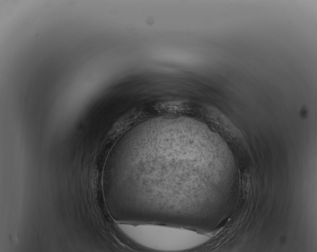 X0000098000760200804011833