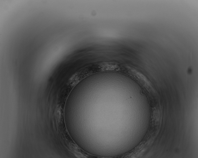X0000098000761200804011833