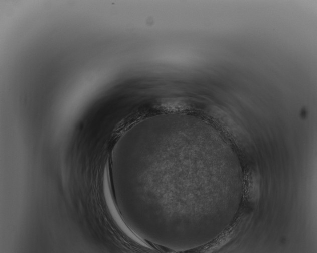 X0000098000762200804011833
