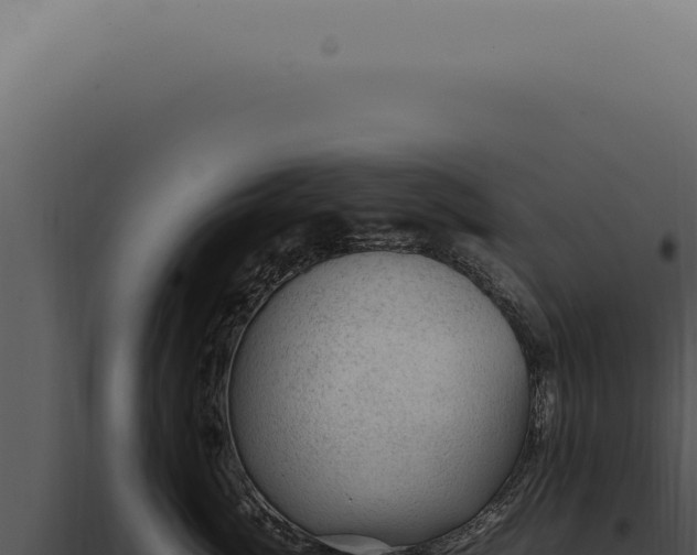 X0000098000764200804011833