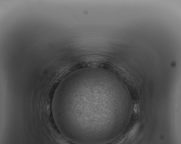 X0000098000771200804011832