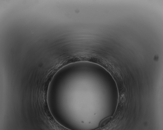X0000098000772200804011832