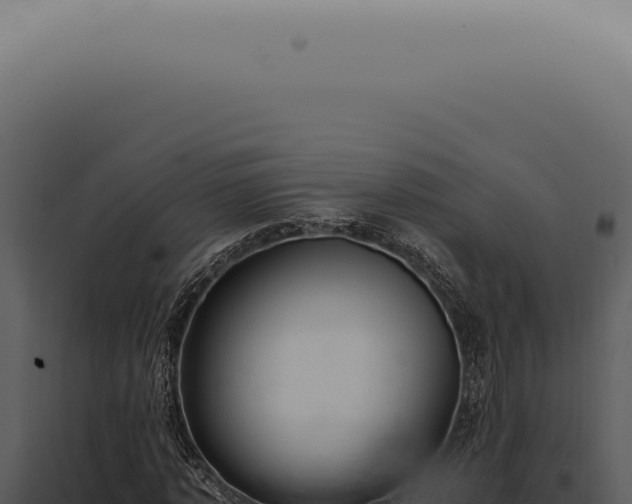 X0000098000773200804011832