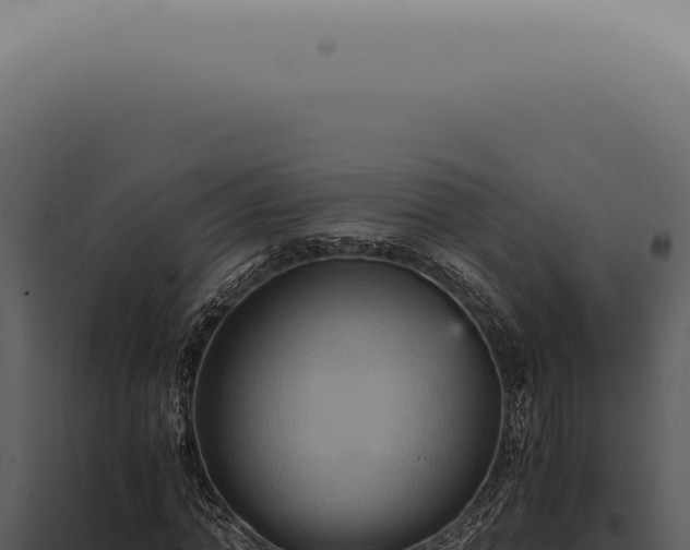 X0000098000774200804011832