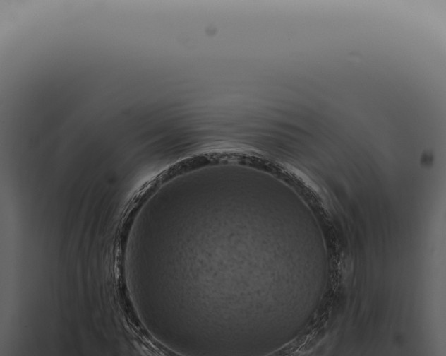 X0000098000775200804011832