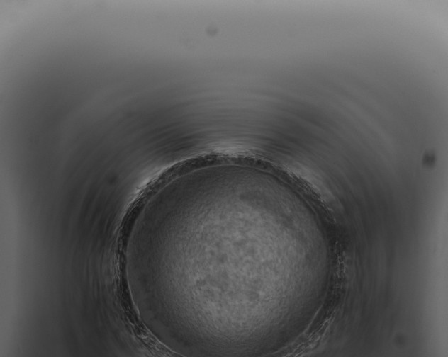X0000098000776200804011832