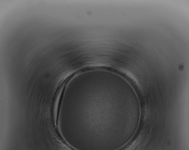 X0000098000777200804011832