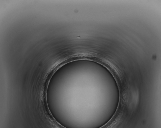 X0000098000778200804011832