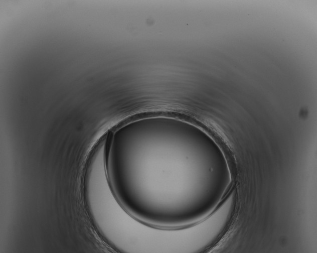X0000098000781200804011832