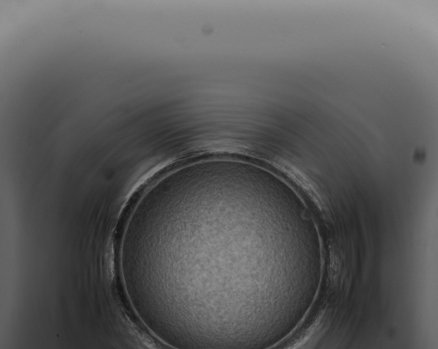 X0000098000782200804011832