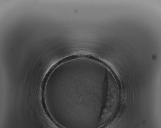 X0000098000783200804011832
