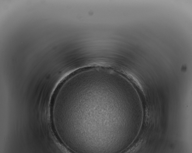 X0000098000784200804011832