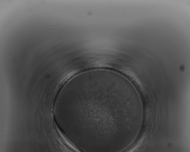 X0000098000785200804011832