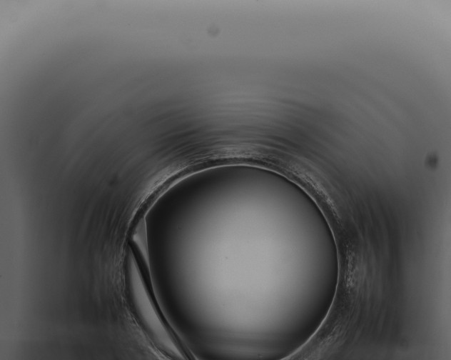 X0000098000786200804011832