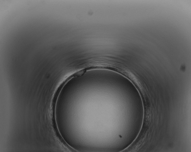 X0000098000787200804011832
