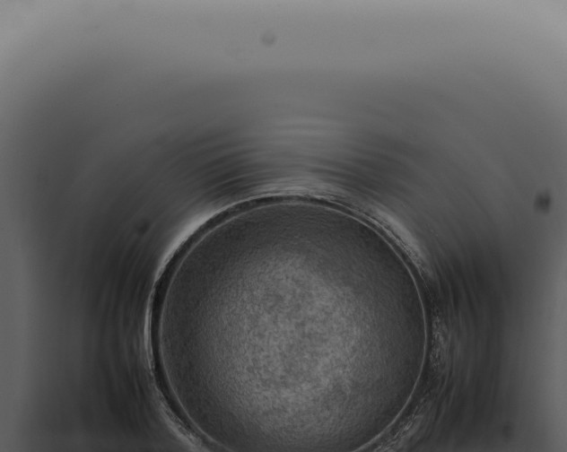X0000098000788200804011832