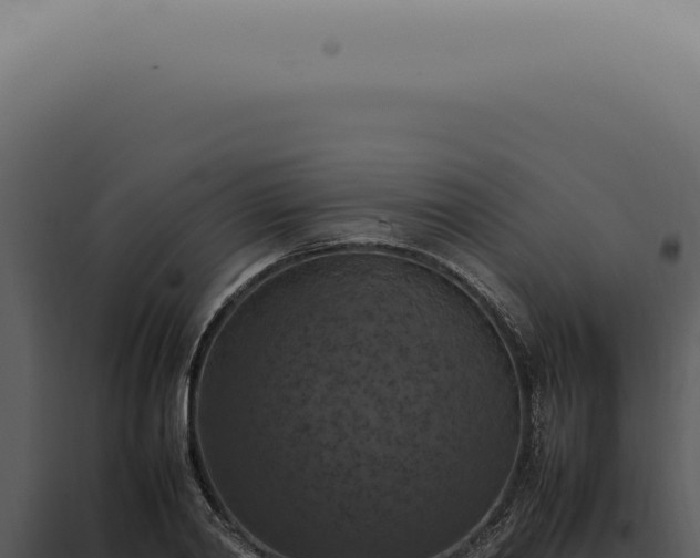 X0000098000790200804011832