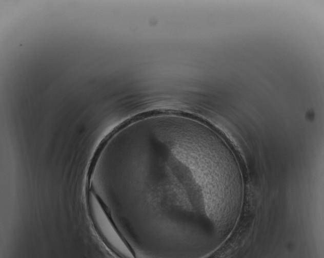 X0000098000791200804011832