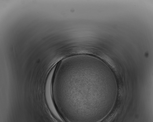 X0000098000793200804011832