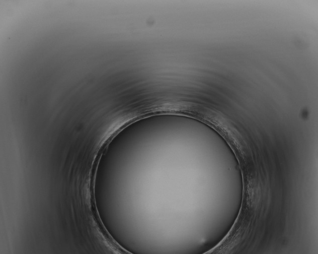 X0000098000794200804011832