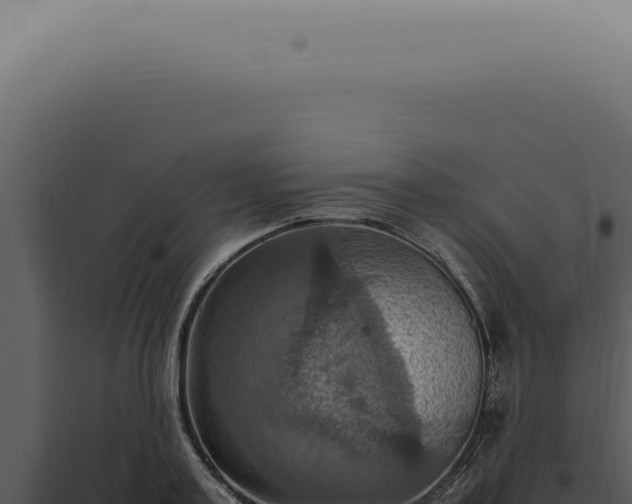 X0000098000795200804011831