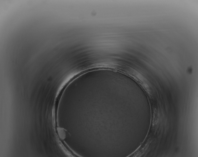 X0000098000796200804011831