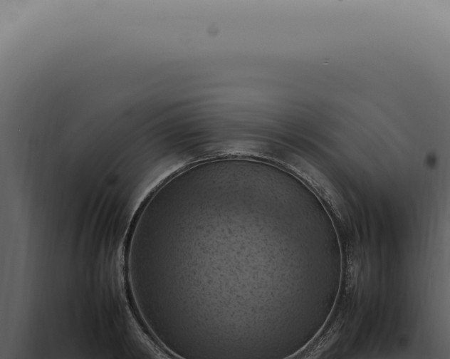 X0000098000798200804011831
