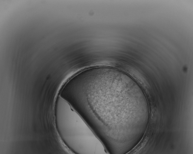 X0000098000800200804011831