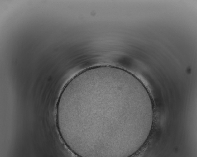X0000098000807200804011831