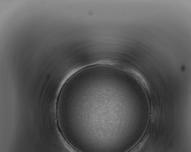 X0000098000808200804011831