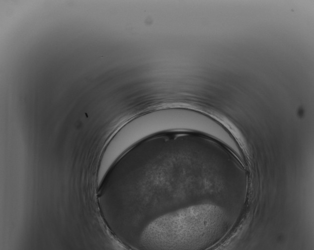 X0000098000809200804011831