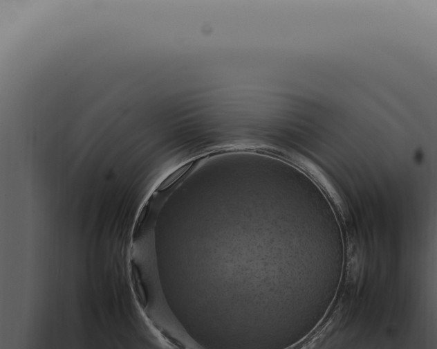 X0000098000810200804011831