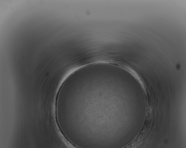 X0000098000811200804011831