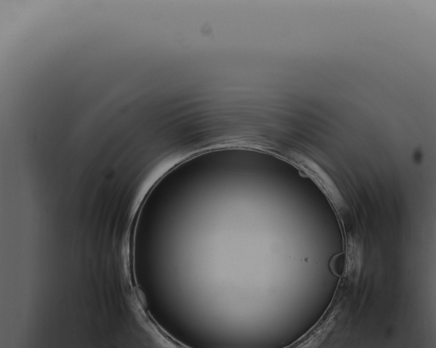 X0000098000812200804011831
