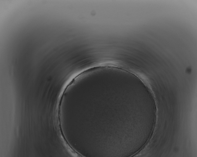 X0000098000816200804011831
