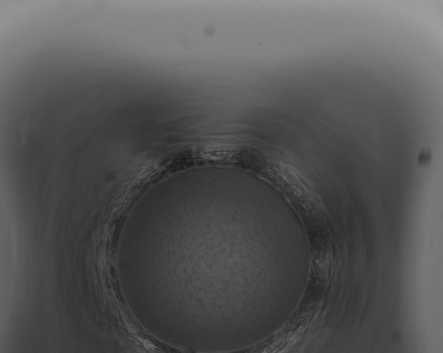 X0000098000817200804011831