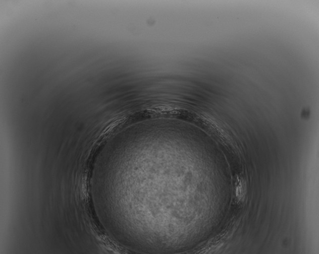 X0000098000819200804011831