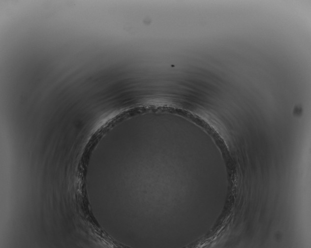 X0000098000823200804011831