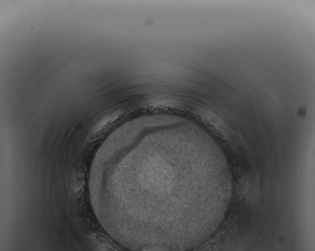 X0000098000824200804011831