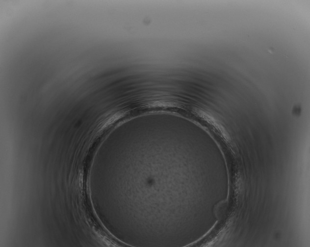 X0000098000825200804011831