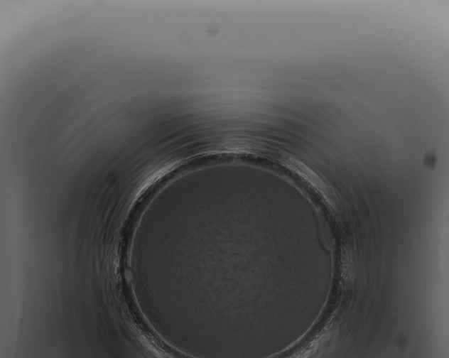 X0000098000826200804011831