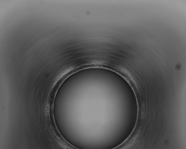 X0000098000827200804011831