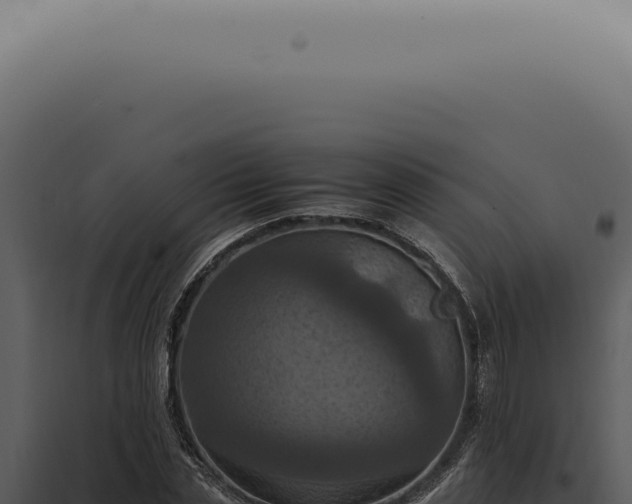 X0000098000829200804011831