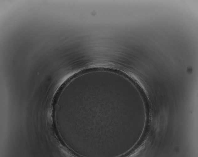 X0000098000830200804011831