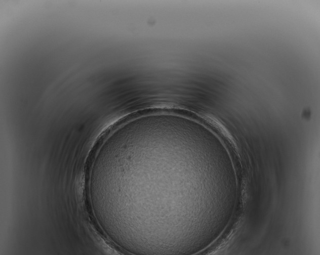 X0000098000831200804011831