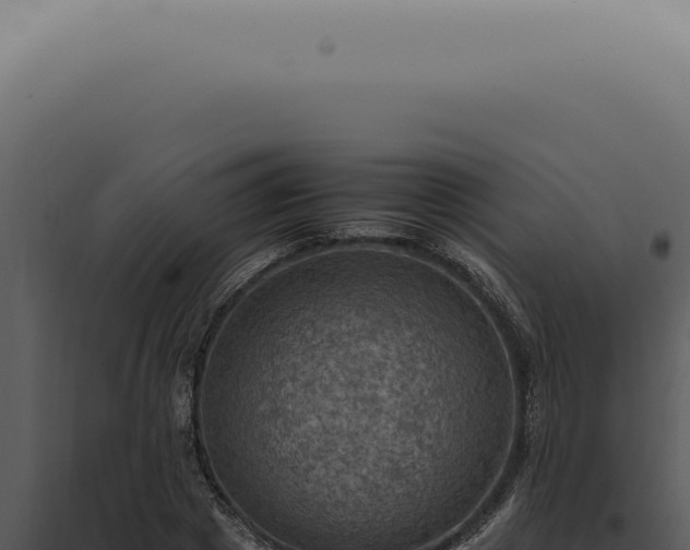 X0000098000833200804011831
